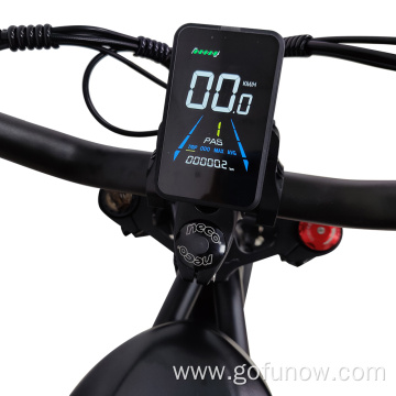 500W 48V 20AH Powerful Mountain Electric Bicycle